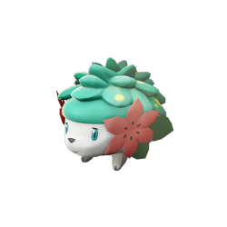 Shiny Shaymin!!  Shiny Pokemon Amino Amino