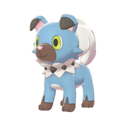 Rockruff  Pokédex