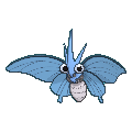 Venomoth - Pokémon Planta Raro - 2/119 - Xy Força Fantasma!