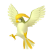 Pidgeotto