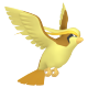 Pidgeot