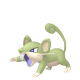 Rattata