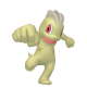 Machop