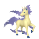 Rapidash