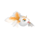 Goldeen (Female)