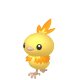 Torchic (Female)