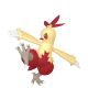 Combusken