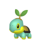 Turtwig