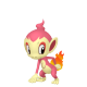 Chimchar