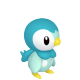 Piplup