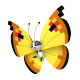 Vivillon Continental Pattern