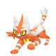 Torracat