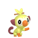 Grookey