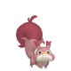 Skwovet Skwovet