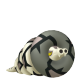 Sandaconda Sandaconda