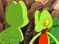 Episode 283: Treecko's Woods! Protect the Big Tree!