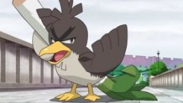 Ash's Farfetch'd