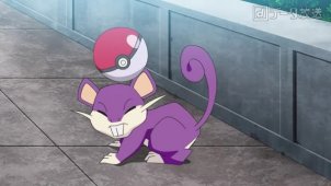 Goh's Rattata