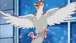 [Resim: tranquill.jpg]