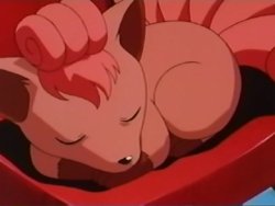 What is the Cutest Pokemon Ever?