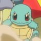 Shell Sage's Squirtle