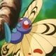 Wild's Butterfree