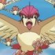 Special/Other Trainers's Pidgeotto