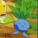 Special/Other Trainers's Oddish