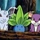 Wild's Oddish Wild's Oddish