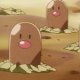 Wild's Diglett Wild's Diglett