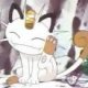 Wild's Meowth