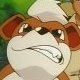 Special/Other Trainers's Growlithe Special/Other Trainers's Growlithe