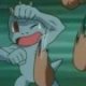 Special/Other Trainers's Machop Special/Other Trainers's Machop