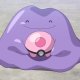 Navie's Ditto Navie's Ditto