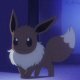 Spinel's Eevee