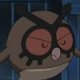 Wild's Hoothoot Wild's Hoothoot