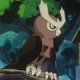 Wild's Noctowl Wild's Noctowl