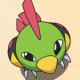 Rocket's Natu