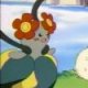 Wild's Bellossom Wild's Bellossom