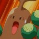 Special/Other Trainers's Sudowoodo