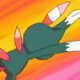 Special/Other Trainers's Sneasel Special/Other Trainers's Sneasel