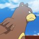 Katsuki's Ursaring Katsuki's Ursaring