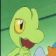 Special/Other Trainers's Treecko
