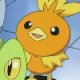 Special/Other Trainers's Torchic