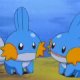 Wild's Mudkip