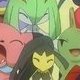 Wild's Mawile Wild's Mawile