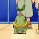 Special/Other Trainers's Turtwig
