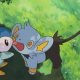 Special/Other Trainers's Shinx Special/Other Trainers's Shinx
