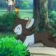 Special/Other Trainers's Luxio Special/Other Trainers's Luxio