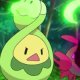 Special/Other Trainers's Budew Special/Other Trainers's Budew